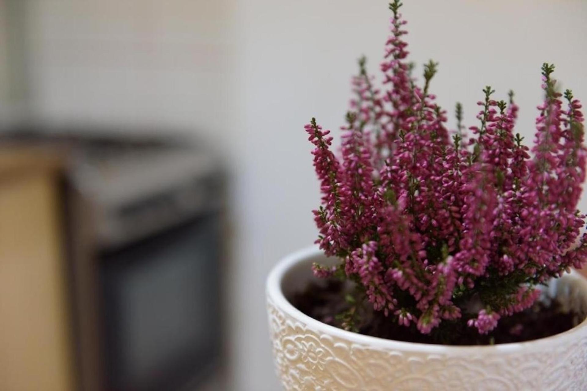 Ultracentral Apartment With City View - Bucharest Old Town Bagian luar foto